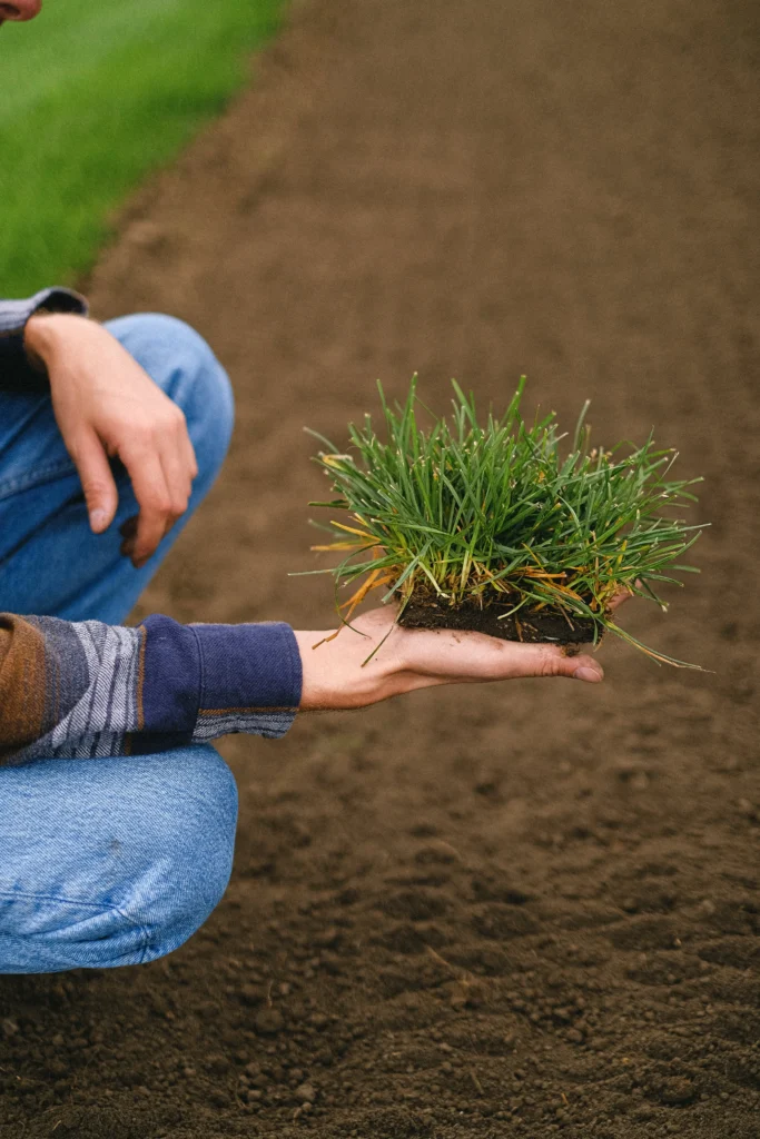 lawn dressing soil image